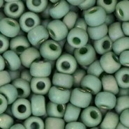 Miyuki seed beads 6/0 - Opaque glazed frosted rainbow shamrock green 6-4700
